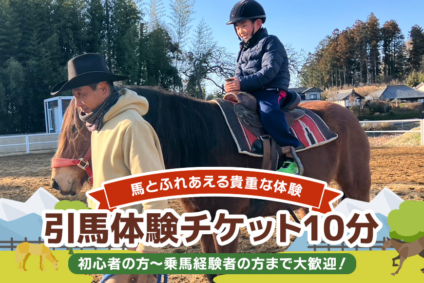 ★ROCKY★ 引馬体験チケット 10分 体験 チケット 券 引馬 馬 うま ウマ 子供 大人 初心者 経験者 歓迎 92-A