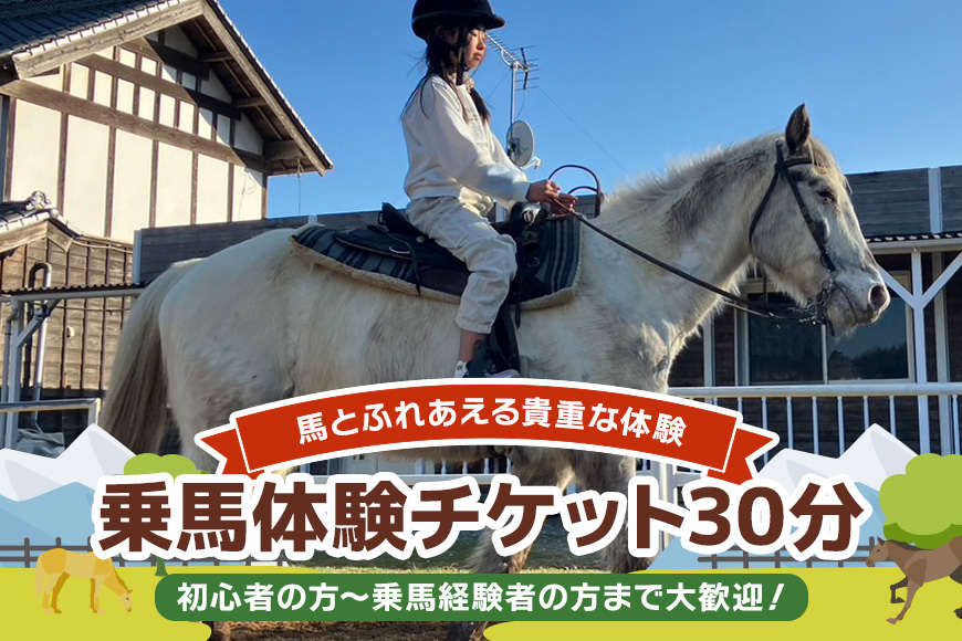 ★ROCKY★ 乗馬体験チケット 30分 体験 チケット 券 乗馬 馬 うま ウマ 子供 大人 初心者 経験者 歓迎 92-B