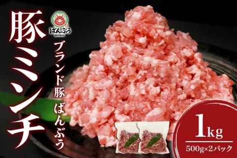 ブランド豚「ばんぶぅ」ミンチ 1.0kg(500g×2パック) 42-AQ