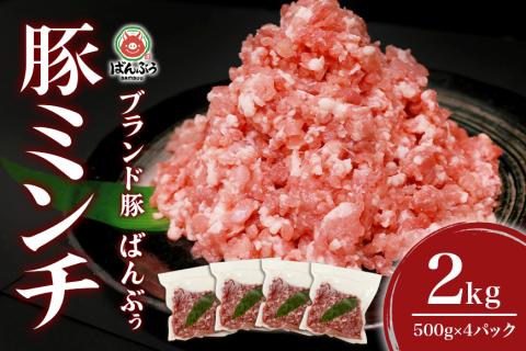 ブランド豚「ばんぶぅ」ミンチ 2.0kg(500g×4パック) 42-AR