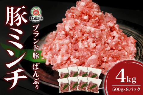 ブランド豚「ばんぶぅ」ミンチ 4.0kg(500g×8パック) 42-AS