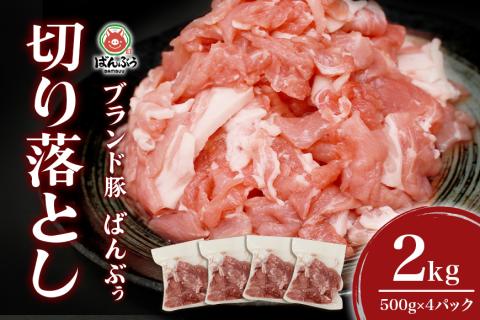 ブランド豚「ばんぶぅ」切り落とし 2.0kg(500g×4パック) 42-AU