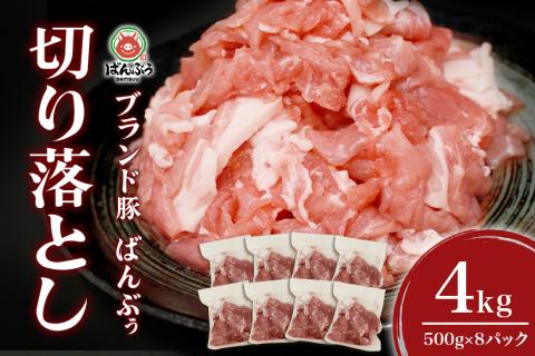 ブランド豚「ばんぶぅ」切り落とし 4.0kg(500g×8パック) 42-AV