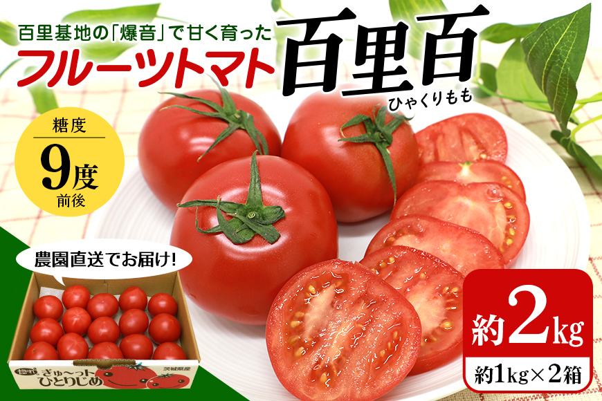 [数量限定 先行予約][2024年11月出荷開始予定] 爆音トマトと呼ばれるフルーツトマト「百里百」 2kg 13-E