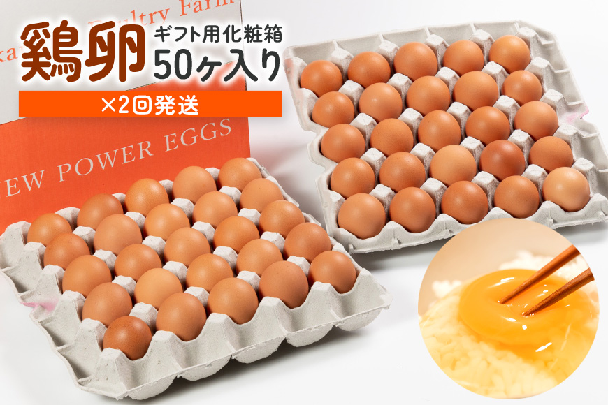 鶏卵50個(45+補償5個)入り ×2回発送
