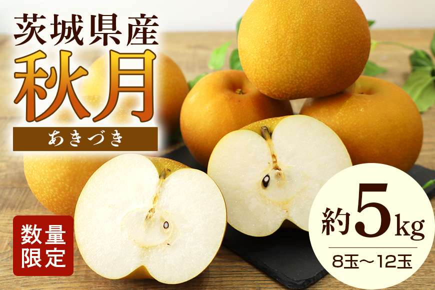 【数量限定 / 夏季限定】梨（秋月）約5kg 梨 なし ナシ 日本梨 あきづき アキヅキ 17-X 【9月上旬〜中旬発送予定】