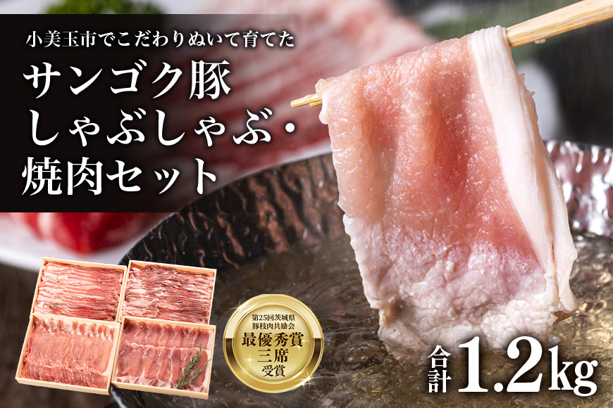 サンゴク豚 しゃぶしゃぶ・焼き肉セット 1.2kg 2-K