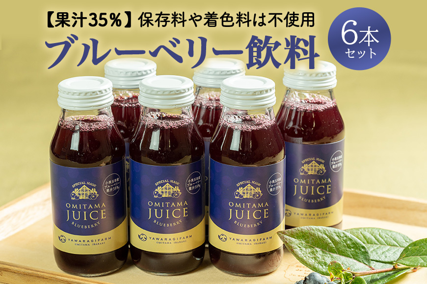 果汁35%ブルーベリー飲料6本 9-N