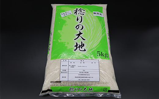 ミルキークイーン 無洗米 20kg 茨城県産 令和7年産【小松崎商事】729