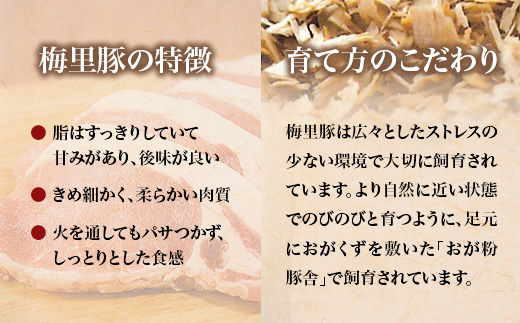 666 梅里豚 肩ローススライス 2kg(500g×4パック) 豚肉 国産 ブランド豚