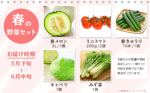 162 定期便 果物 フルーツ 野菜 茨城町 旬 年に4回 お届け お楽しみ メロン サツマイモ とうもろこし 等