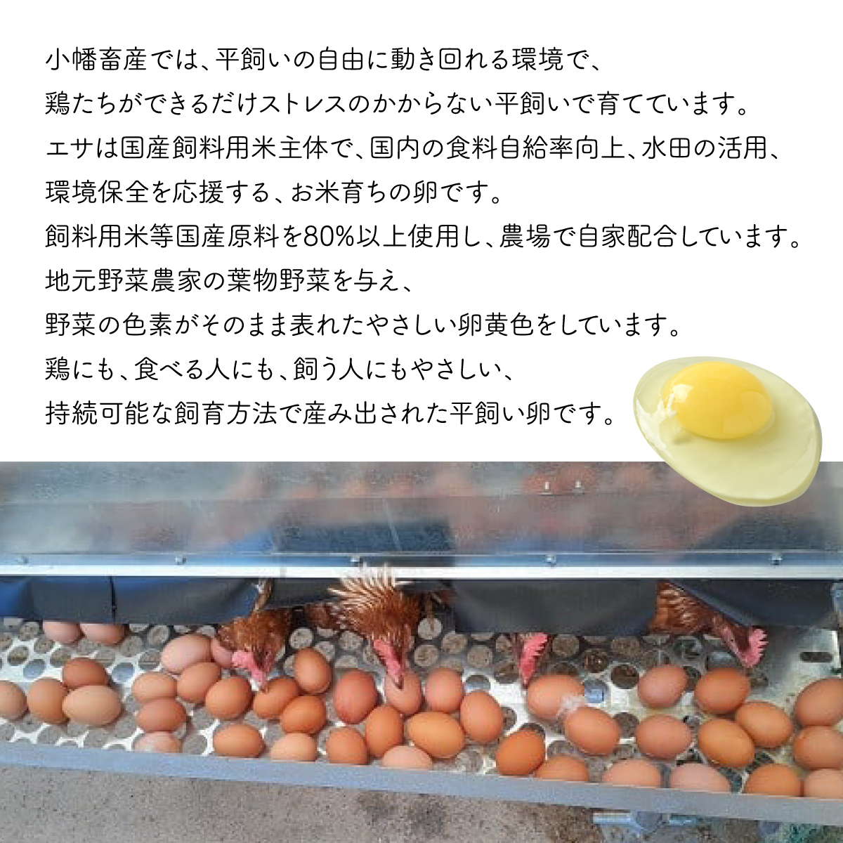 279 平飼い やさしい ひたち野 穂の香 卵 30個【小幡畜産】