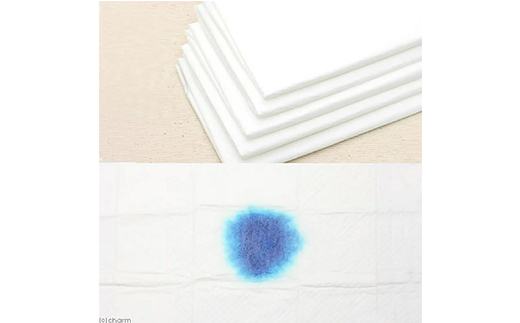 276620 厚型 レギュラー ペットシーツ 72枚 × 4袋 国産 ペットシート 定期便 6ヶ月 連続お届け 425