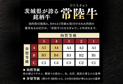 生ハンバーグ120g×6個 常陸牛 100％ 【3ヶ月連続お届け】 513