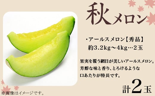 371 メロン 定期便 春メロン 秋メロン 人気 食べ比べ フルーツ 先行予約 数量限定 2回 お届け メロン好き 集合