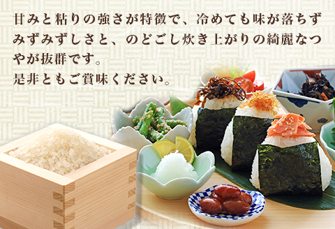 【令和7年産】ゆうだい21 2kg ファームランドさいとう 572