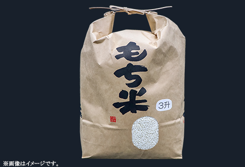 607 【令和7年産】水稲もち 3升 4.5kg