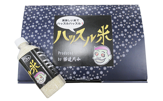 176【令和7年産】小川直也プロデュース ハッスル米 3.6kg(450ｇ×8本)【野口ライス】