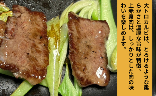 710 常陸牛 大トロカルビ 上赤身肉セット 約200g (各100g)【吉川商事】
