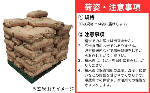 725 【令和7年産】茨城県産 玄米 にじのきらめき 1t 1000kg(30kg×34袋)【石崎商店】