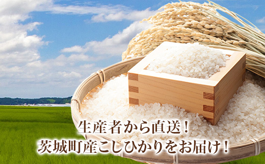 742 茨城県産 こしひかり 10kg (5kg×2袋) 令和7年産 精米【米農家もろちゃん】