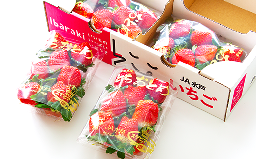 200茨城県産いちご「とちおとめ」2.08kg（2箱8パック）【2026年1月中旬頃～3月下旬頃発送予定】