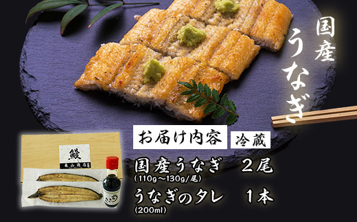 487 うなぎ 2尾入り 約220g 白焼き 蒲焼き 食べ比べ 国産 有頭うなぎ
