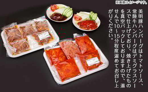 114肉の木村屋特製手作りハンバーグセット10個（美明豚5個・常陸牛5個）