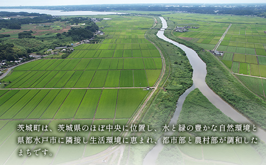 660 茨城町 冬の野菜セット さつまいも にんじん だいこん チンゲン菜 長いも 白菜