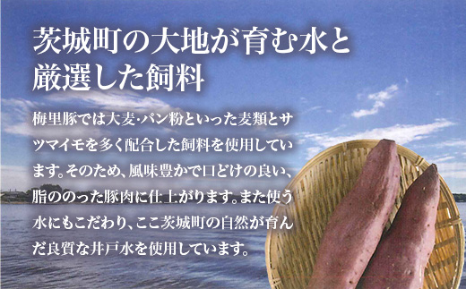 666 梅里豚 肩ローススライス 2kg(500g×4パック) 豚肉 国産 ブランド豚