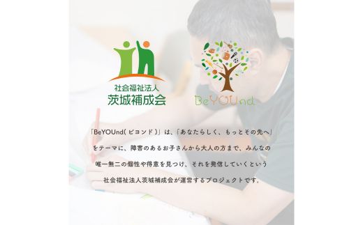 691 ねりねりマグネット 5種セット 動物 障害がある方の手作りマグネット【社会福祉法人 茨城補成会】