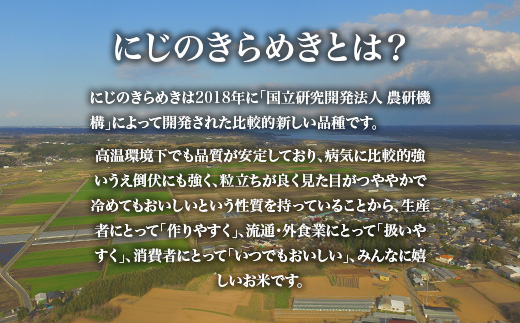 732【令和7年産】茨城県産 にじのきらめき 10kg (5kg×2袋)【米農家もろちゃん】