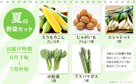 162 定期便 果物 フルーツ 野菜 茨城町 旬 年に4回 お届け お楽しみ メロン サツマイモ とうもろこし 等