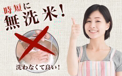 221-1【令和7年産】茨城町産 無洗米 ミルキークイーン 10kg(5kg×2袋)【野口ライス】
