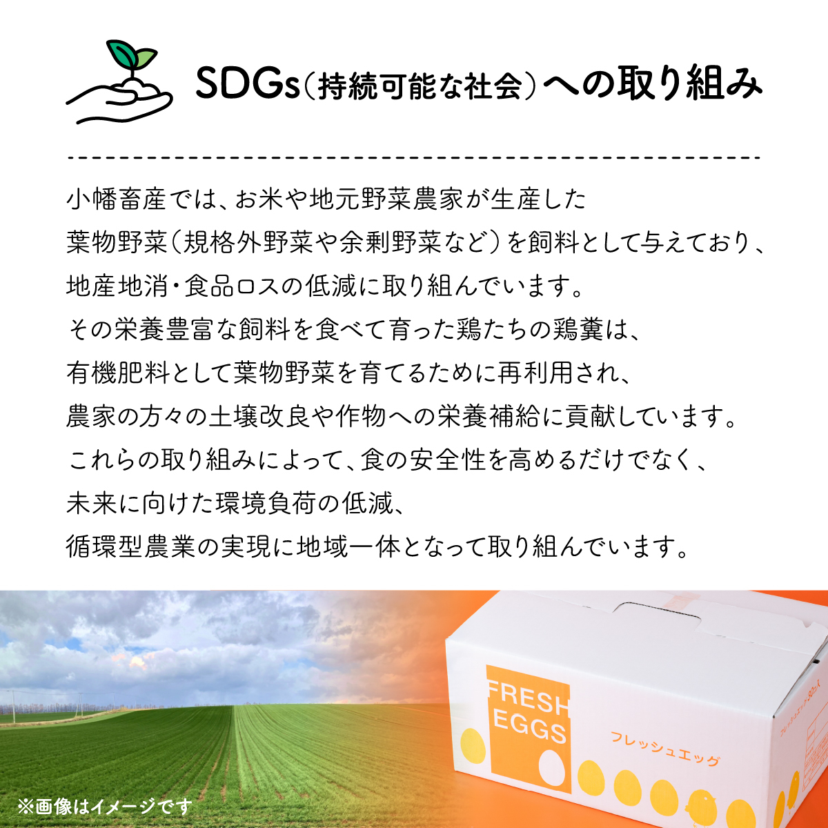 279 平飼い やさしい ひたち野 穂の香 卵 30個【小幡畜産】