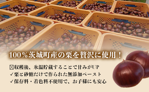 634 氷温貯蔵 栗ペースト300g（ 茨城町産 栗 100％ 使用 ) 【海老澤農園】