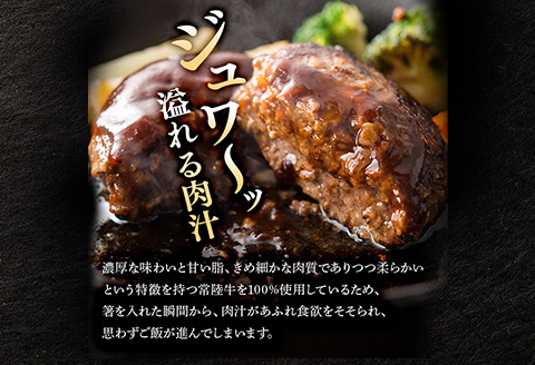 生ハンバーグ120g×12個 常陸牛 100％ 【6ヶ月連続お届け】 518