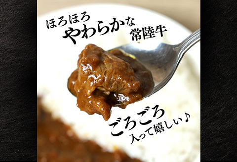 牛すじカレー 200g×6個 茨城県 ブランド牛 常陸牛 使用 521