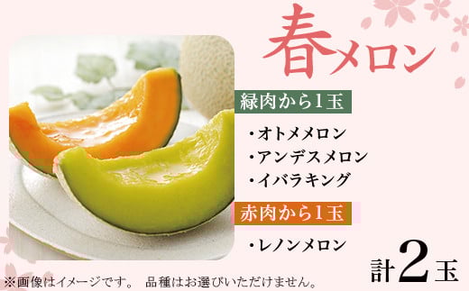 371 メロン 定期便 春メロン 秋メロン 人気 食べ比べ フルーツ 先行予約 数量限定 2回 お届け メロン好き 集合