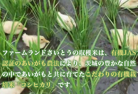 【令和7年産】コシヒカリ 4kg ファームランドさいとう 570