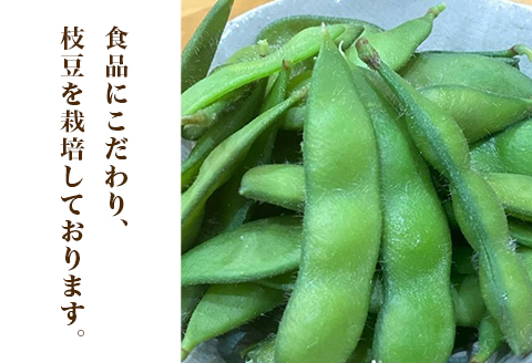 576【先行予約】枝豆 2kg 500g × 4袋 ファームランドさいとう（7月下旬頃より順次発送）