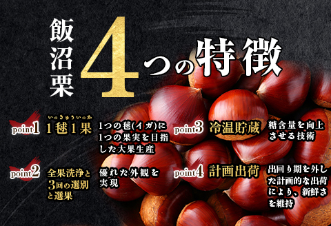 588 一毬一菓（6個入） CINARIS