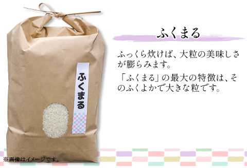 596 にじのきらめき ふくまる 2種食べ比べ 10kg