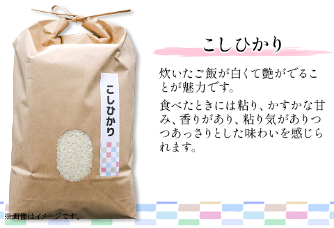 597 コシヒカリ にじのきらめき 2種食べ比べ 10kg
