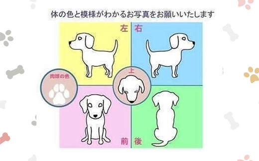 624 オーダートートバック（容量約20L）【まめつぶはうす】