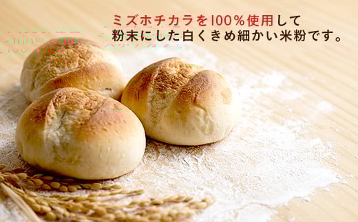 656 米粉 5kg 500g × 10袋 令和6年 ファームランドさいとう