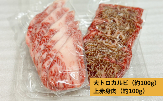 710 常陸牛 大トロカルビ 上赤身肉セット 約200g (各100g)【吉川商事】
