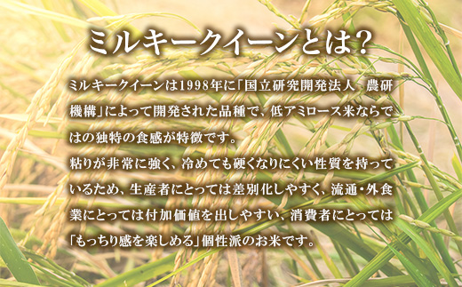 741 茨城県産 ミルキークイーン 10kg (5kg×2袋) 令和7年産 精米【米農家もろちゃん】