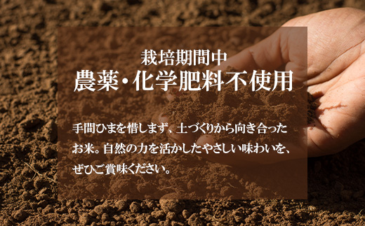 743 茨城県産 こしひかり 10kg (5kg×2袋) 無農薬 無化学肥料 令和7年産 精米【米農家もろちゃん】