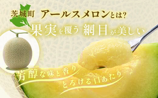 490 アールスメロン 3～5玉 約8kg 優品以上 高級 茨城 JA水戸産